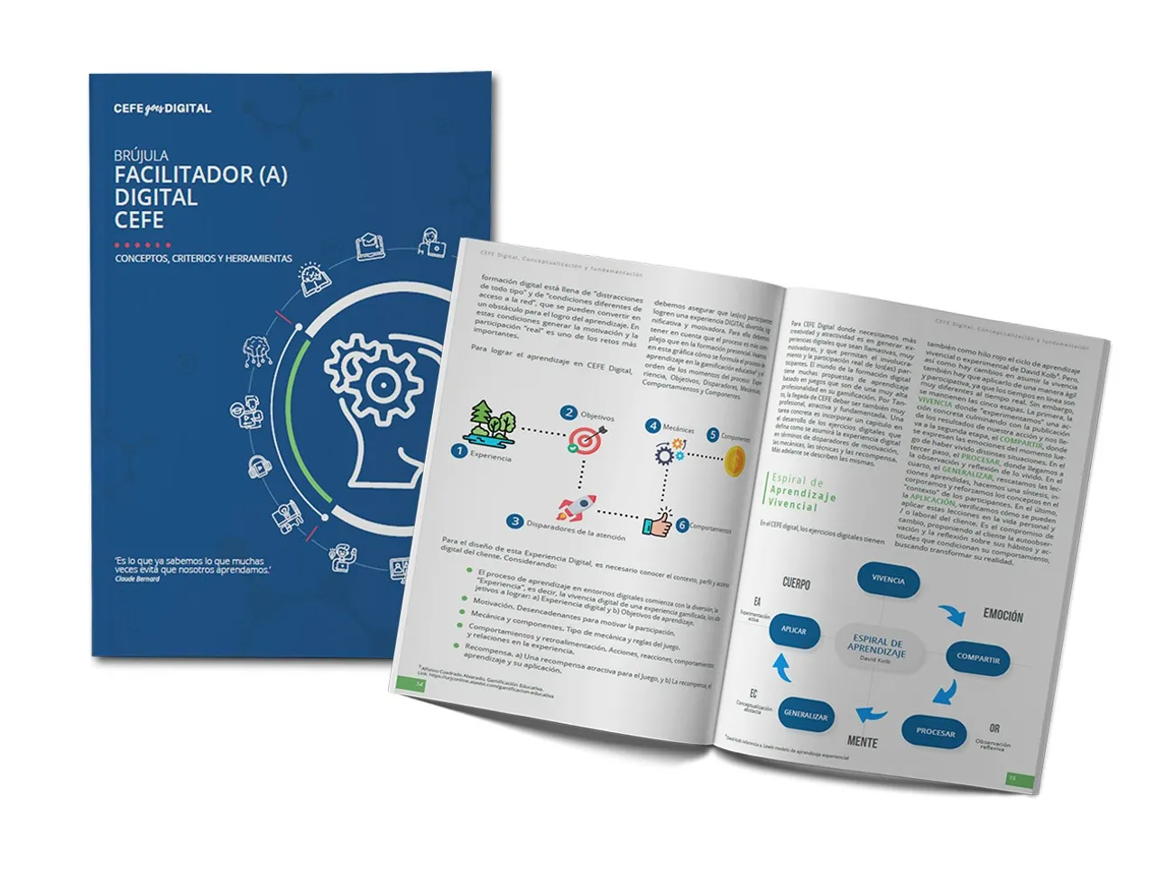 CEFE E-Faclitation Licence