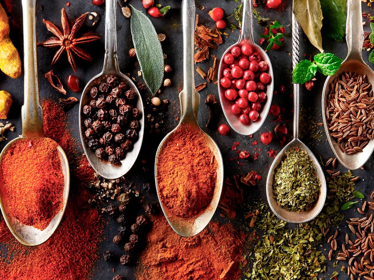 IPD EMP Biotropical Coaching