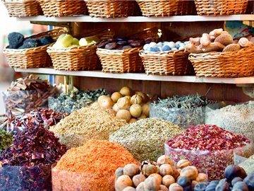 Export Marketing Plan