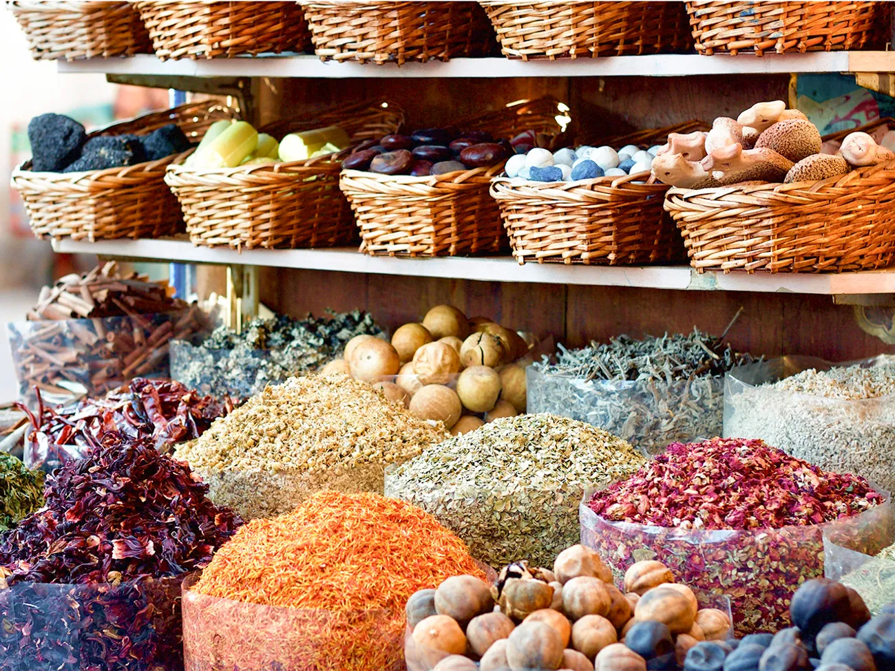 Export Marketing Plan