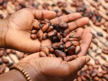 Vocational training and food security for refugees and host community in Eastern Sudan