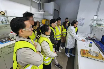 Advise in project concept development